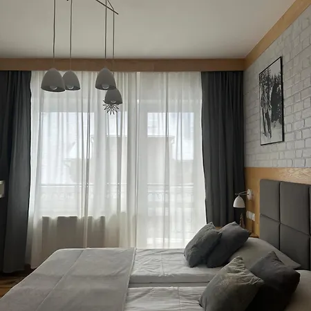 Vektron * 자코파네